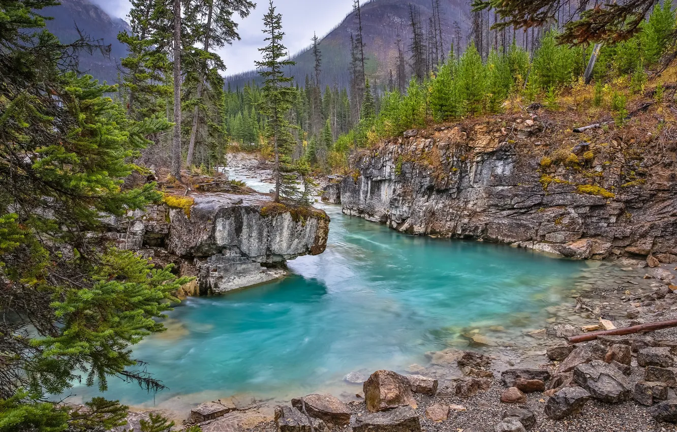 Photo wallpaper forest, trees, river, rocks, Canada, Canada, British Columbia, British Columbia