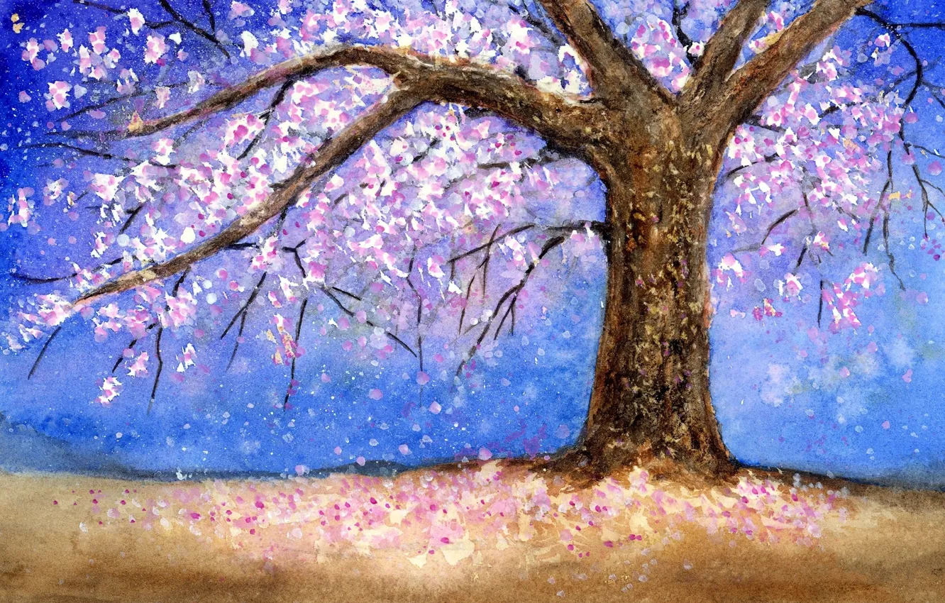 Photo wallpaper tree, tree, cherry blossom, cherry blossoms