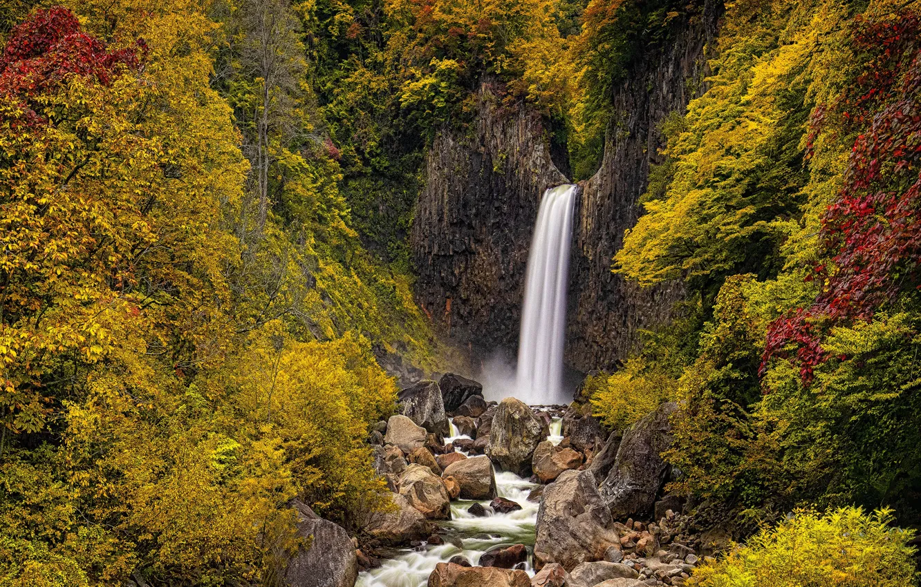 Photo wallpaper autumn, trees, foliage, waterfall, the bushes