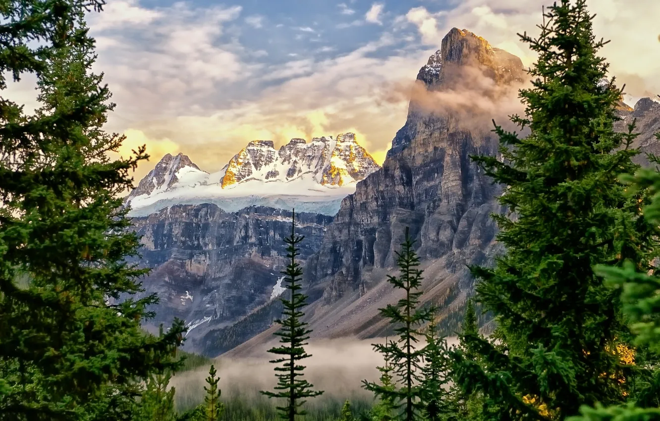 Photo wallpaper trees, mountains, tops, ate, Canada, Albert, Alberta, Canada