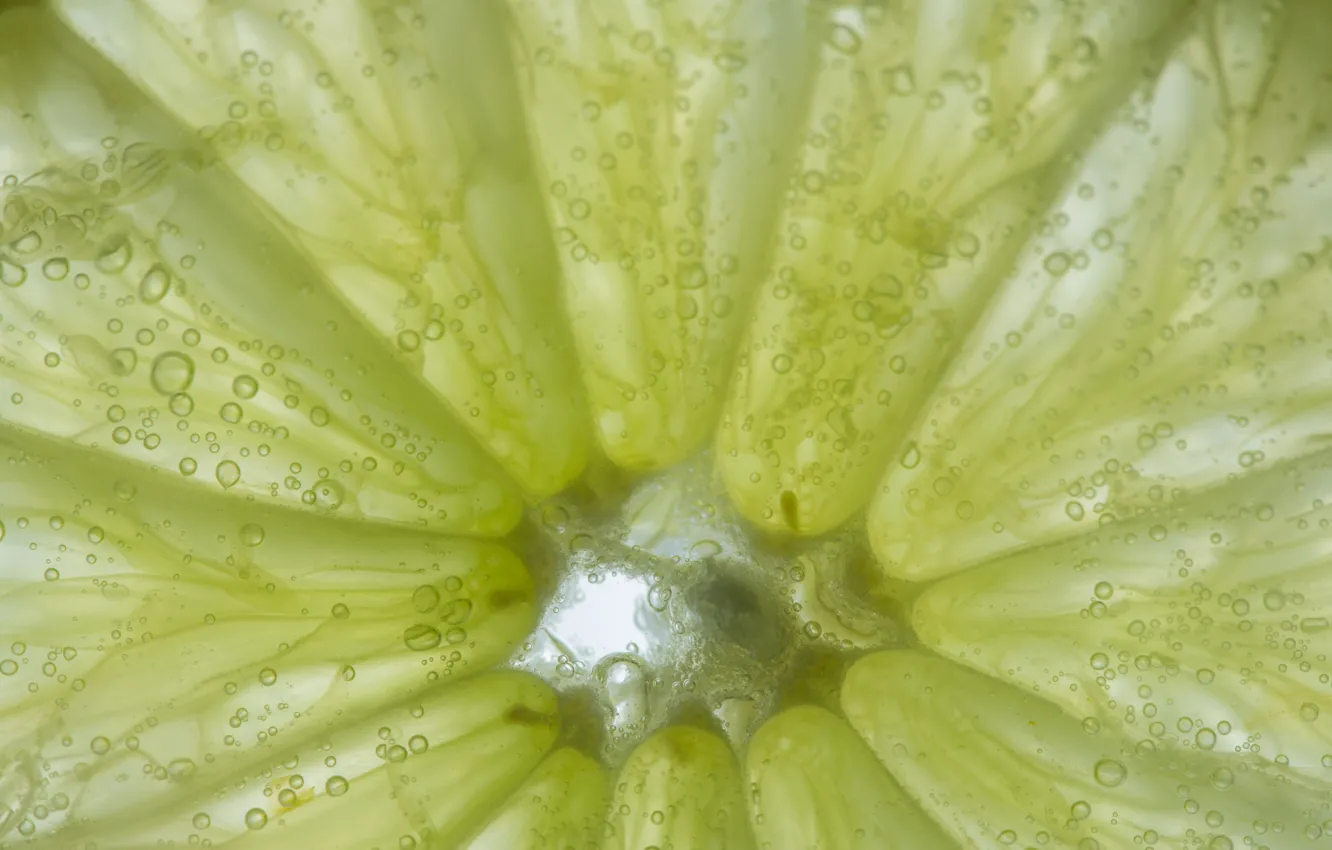 Photo wallpaper macro, lemon, lime, fruit