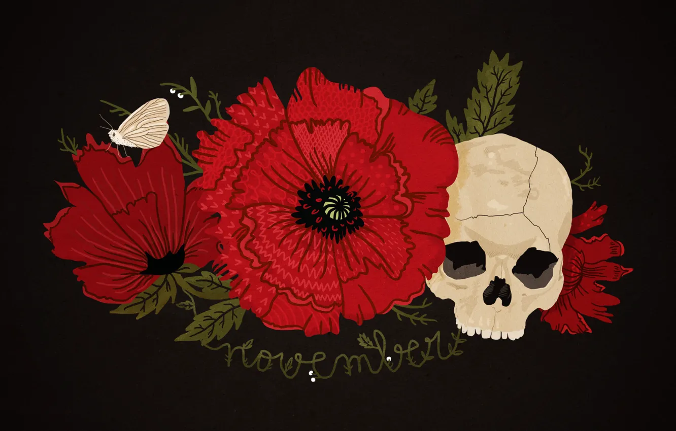 Photo wallpaper skull, Maki, characters, red, black background, moth, Memento mori