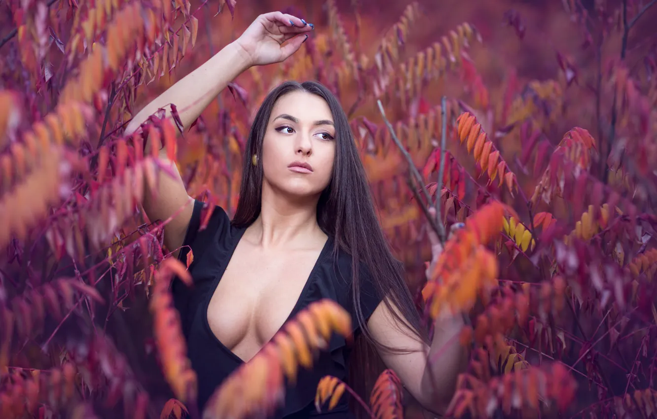 Photo wallpaper chest, neckline, sponge, Pedro Courelas