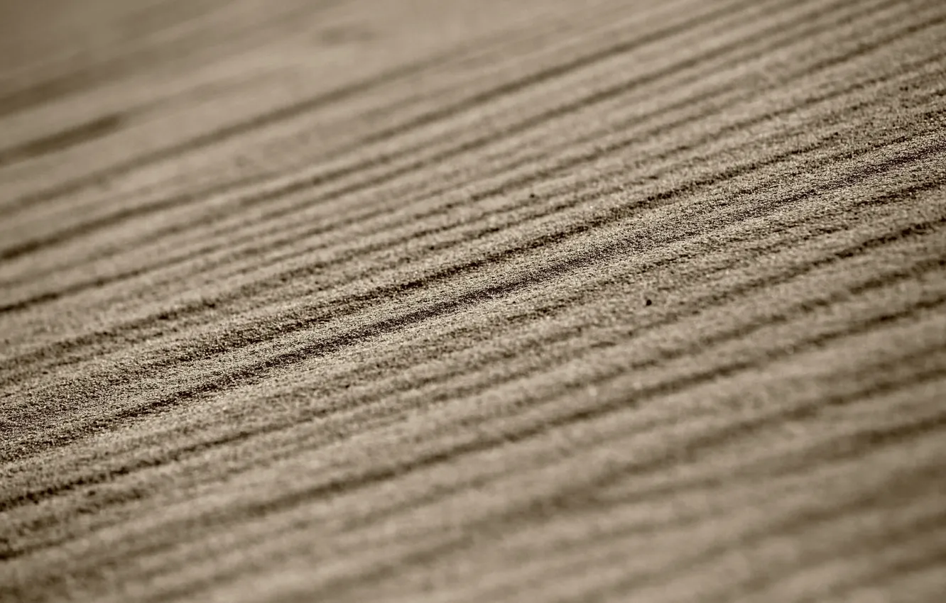 Photo wallpaper sand, macro, line, bokeh