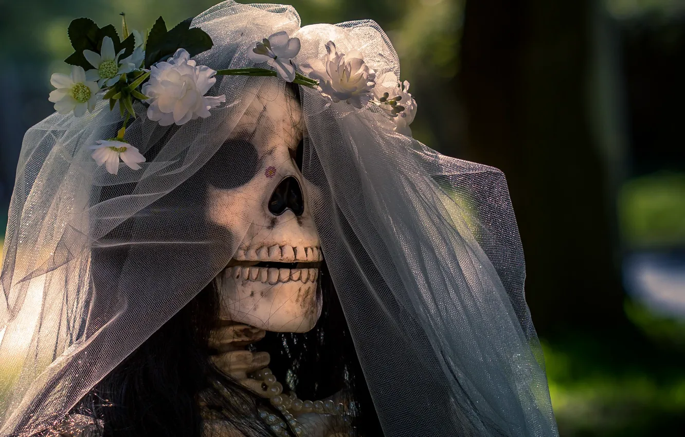 Photo wallpaper skeleton, the bride, halloweeen