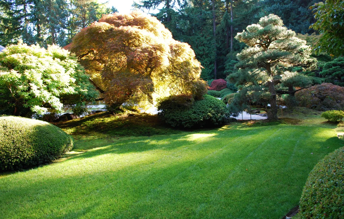 Photo wallpaper grass, trees, nature, photo, garden, USA, Portland