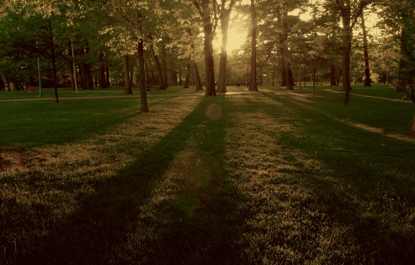 Photo wallpaper nature, Park, morning