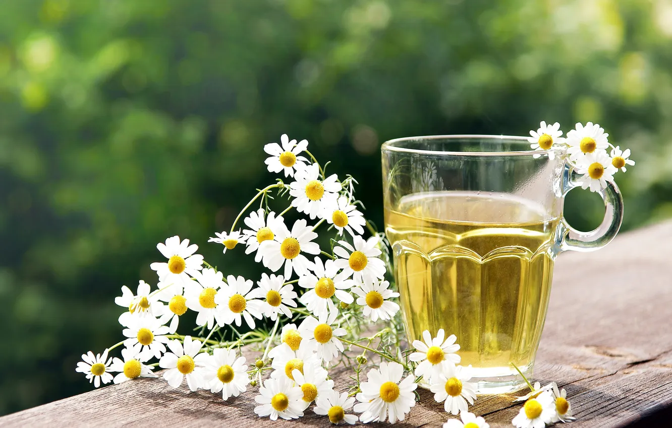 Photo wallpaper glass, nature, tea, chamomile, Cup, herbal