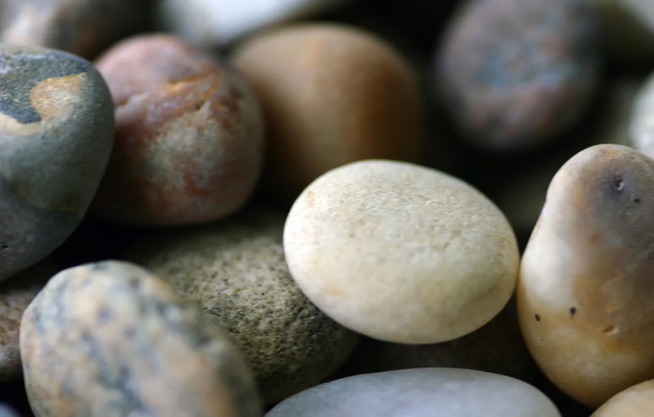 Photo wallpaper macro, pebbles, stones