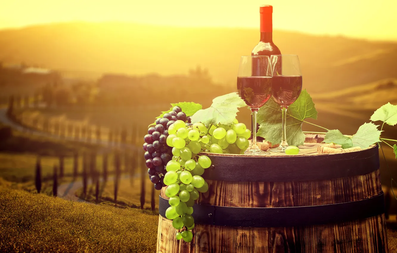 Photo wallpaper leaves, the sun, landscape, wine, bottle, glasses, grapes, Italy