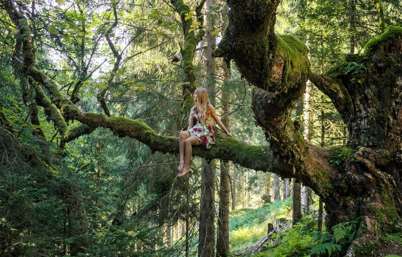 Photo wallpaper forest, girl, trees
