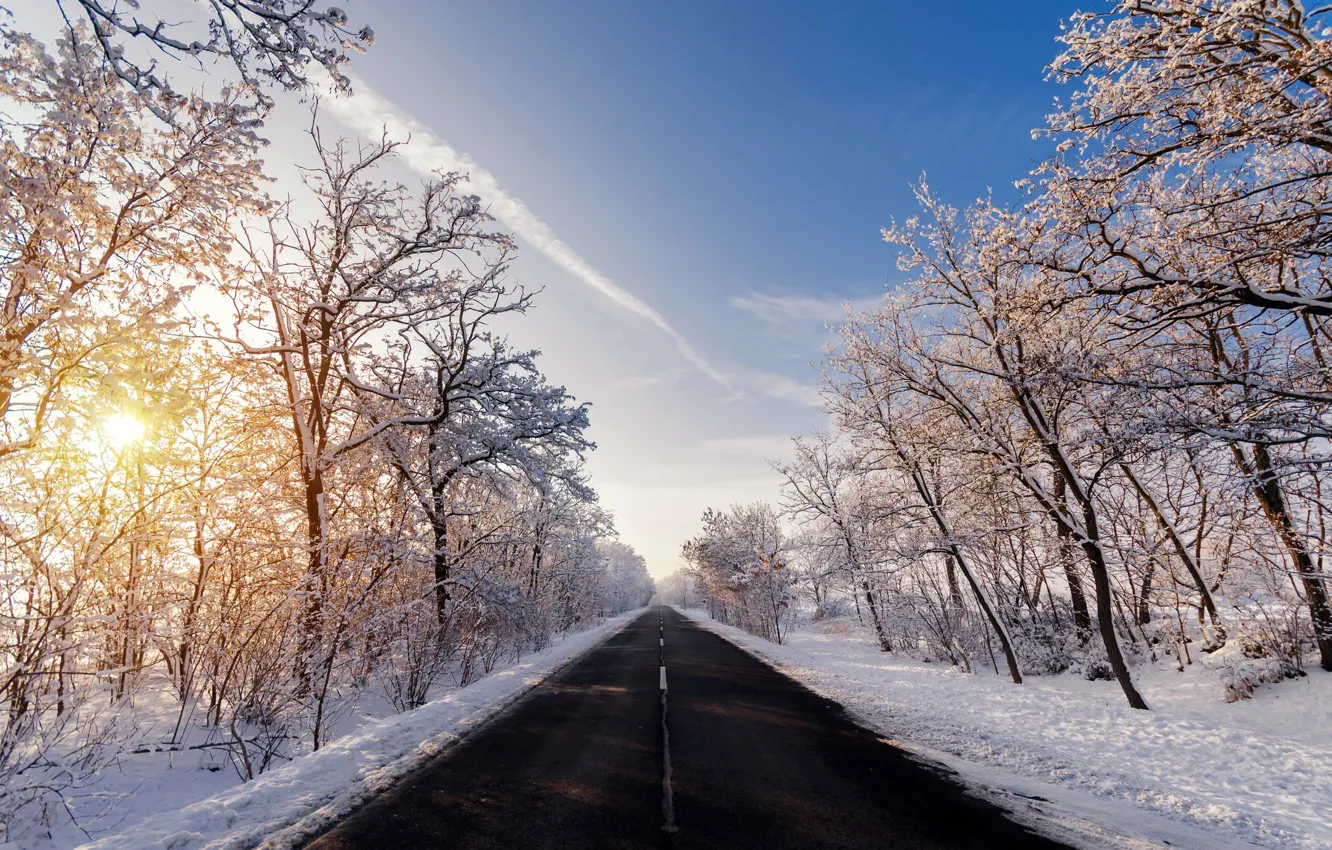 Photo wallpaper winter, road, morning