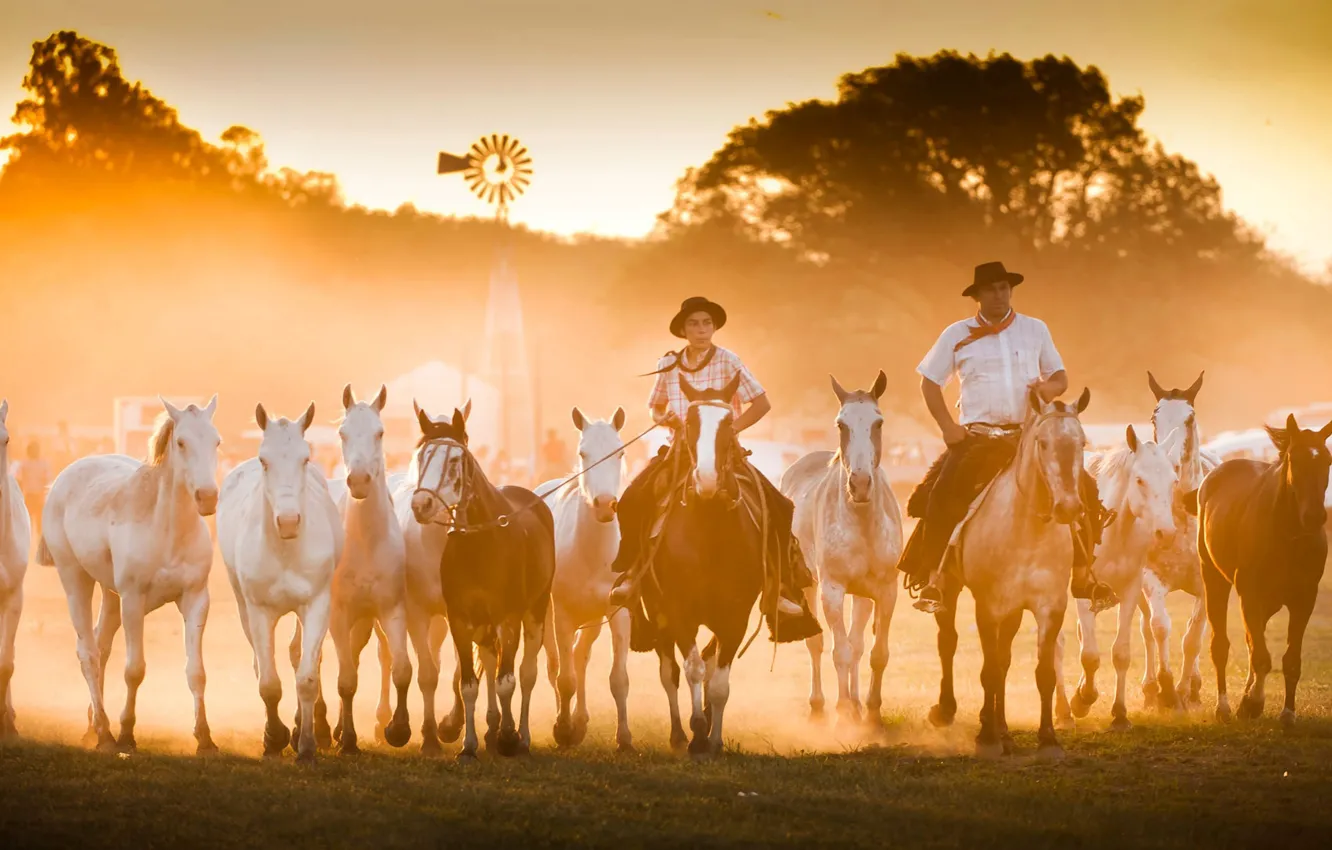 Photo wallpaper horse, cowboy, Argentina, festival Guaco