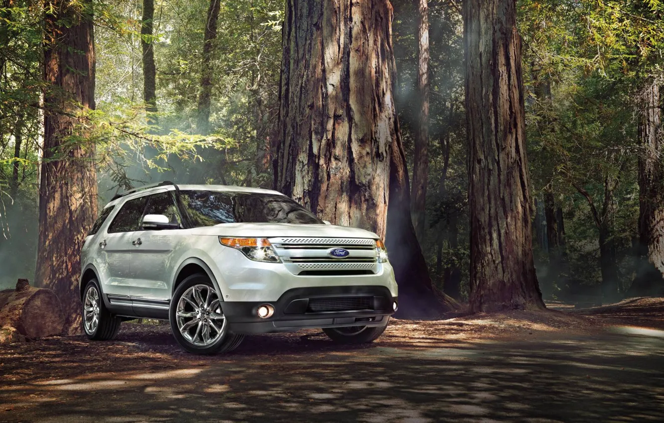 Photo wallpaper Ford, Forest, Ford, SUV, Sport, Explorer