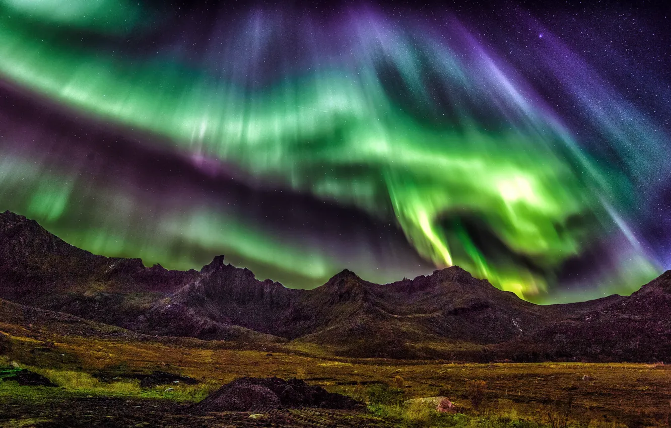 Photo wallpaper stars, mountains, night, Northern lights, Norway, The Lofoten Islands