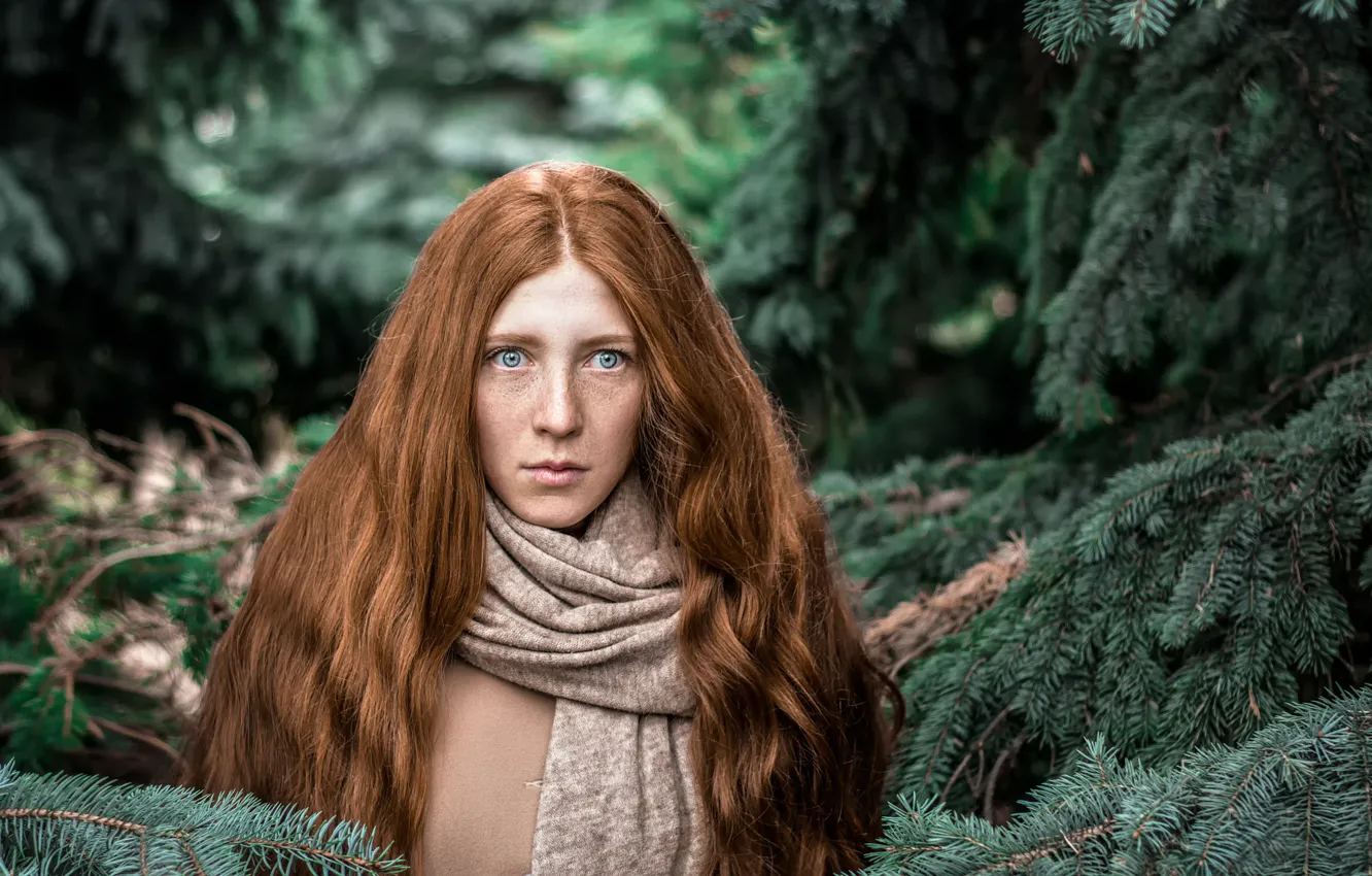 Photo wallpaper forest, fright, Christmas trees, needles, the red-haired girl, Nimfa