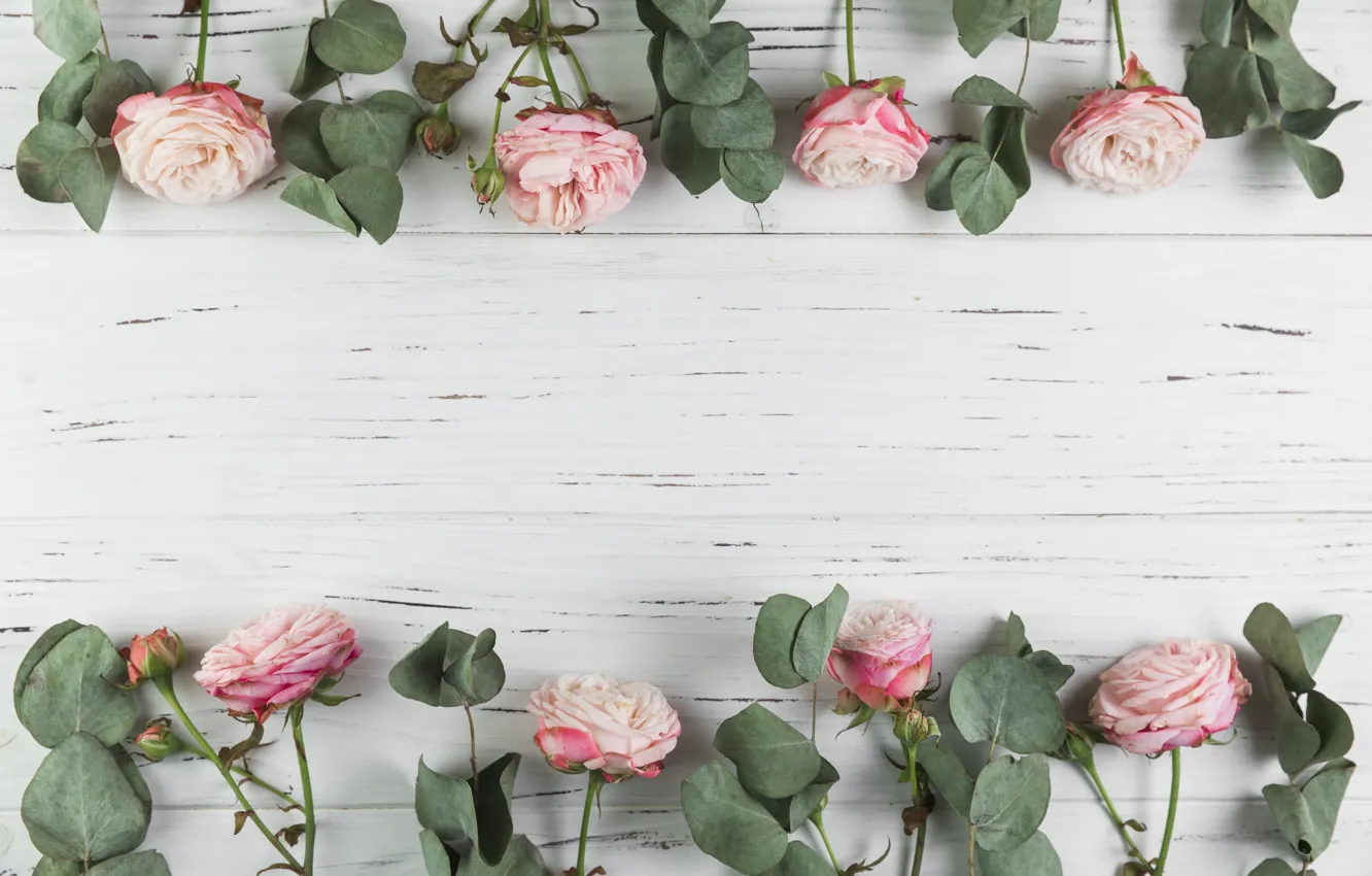 Photo wallpaper flowers, roses, pink, wood, pink, flowers, beautiful, roses