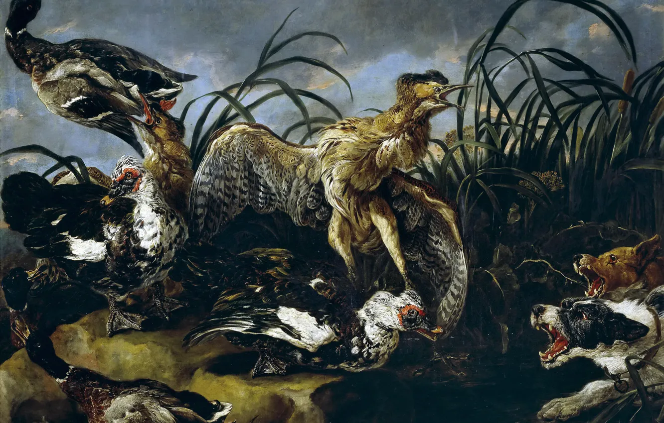 Photo wallpaper nature, animal, picture, hunting, Ian Faith, Frightened Dogs, Ducks and Moorhens