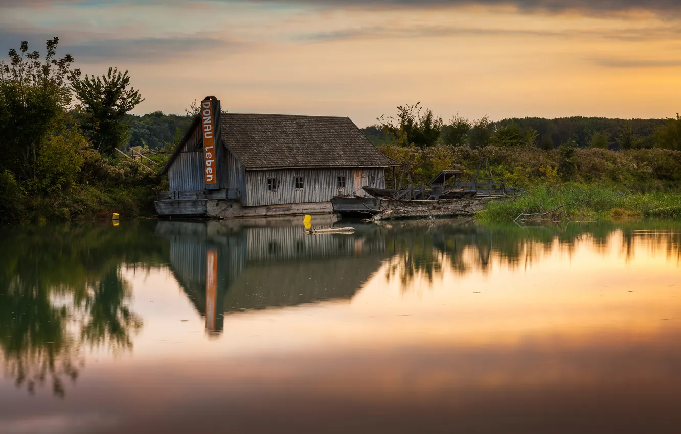 Photo wallpaper nature, Park, river, photo, home, Austria, Donau