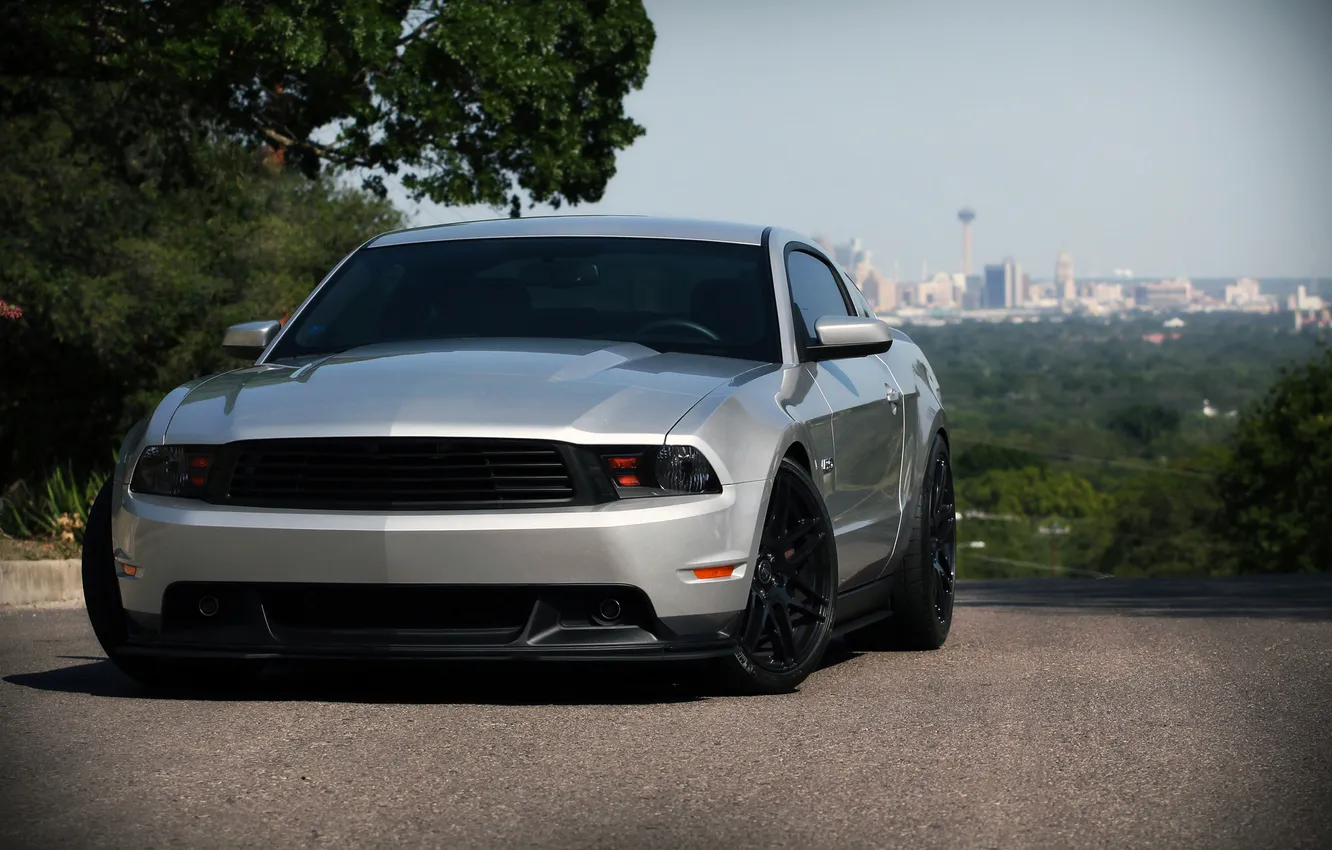 Photo wallpaper the city, Mustang, Ford, Shelby, Mustang, silver, horizon, muscle car