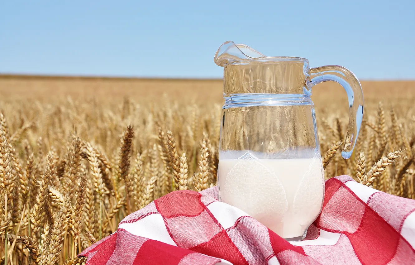 Photo wallpaper wheat, towel, milk, ears, pitcher