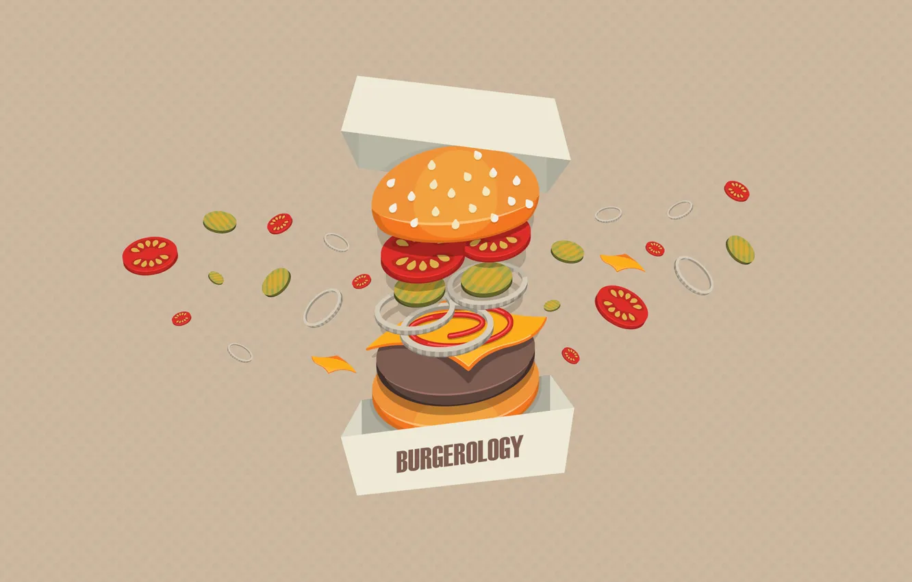 Photo wallpaper background, box, meat, vegetables, Burger, Burgerology