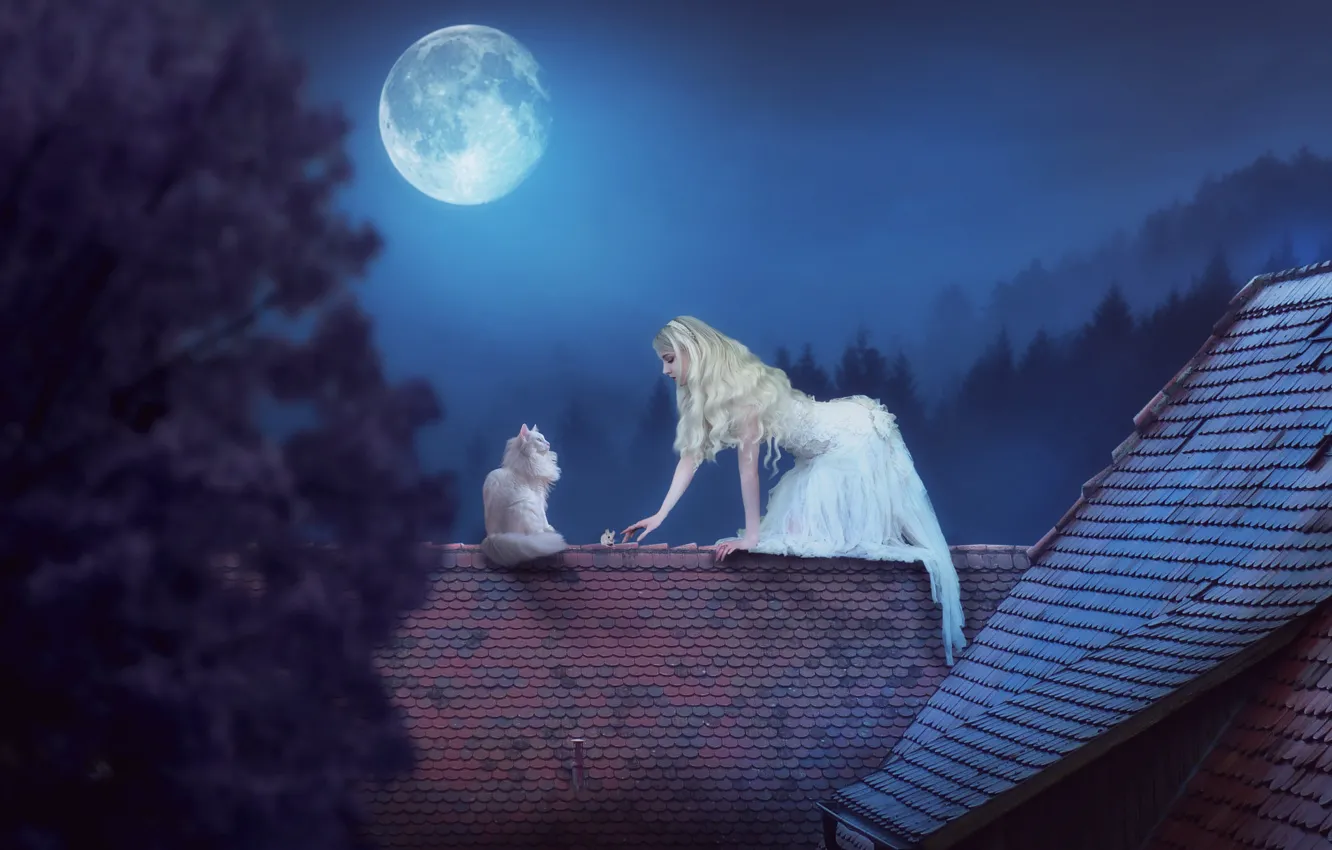 Photo wallpaper girl, night, the moon, the situation, mouse, roof, on the roof, white cat