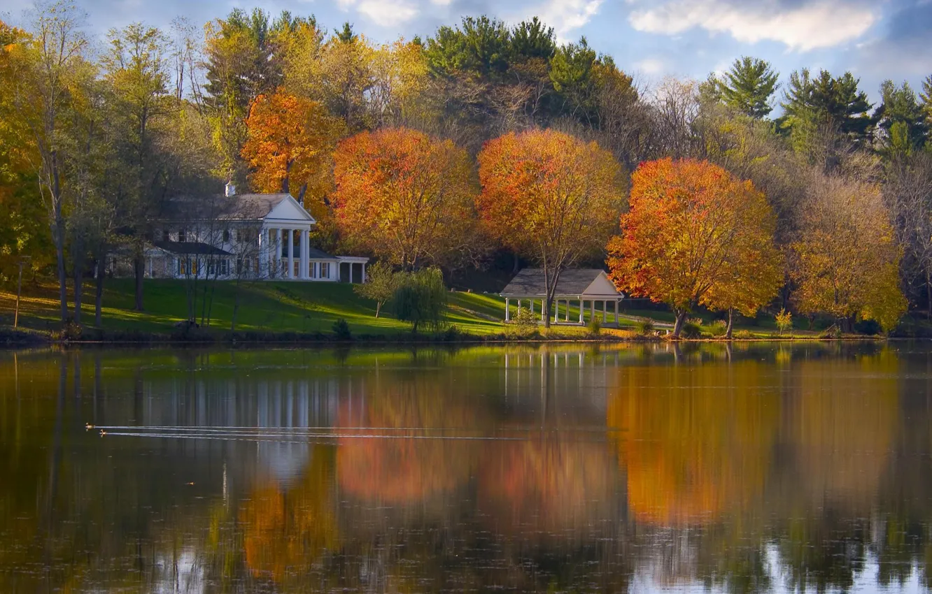 Photo wallpaper water, trees, river, duck, home, garden, gazebo, quiet