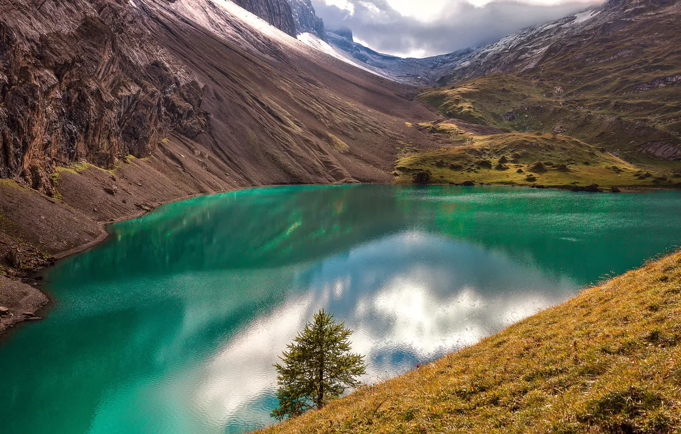 Photo wallpaper grass, water, clouds, light, mountains, lake, reflection, tree
