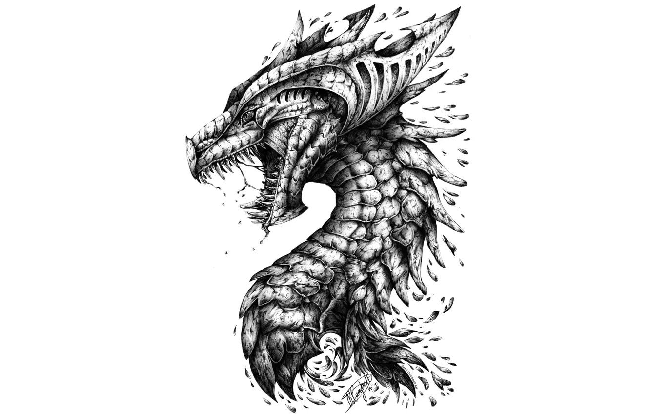 Photo wallpaper dragon, head, teeth, scales