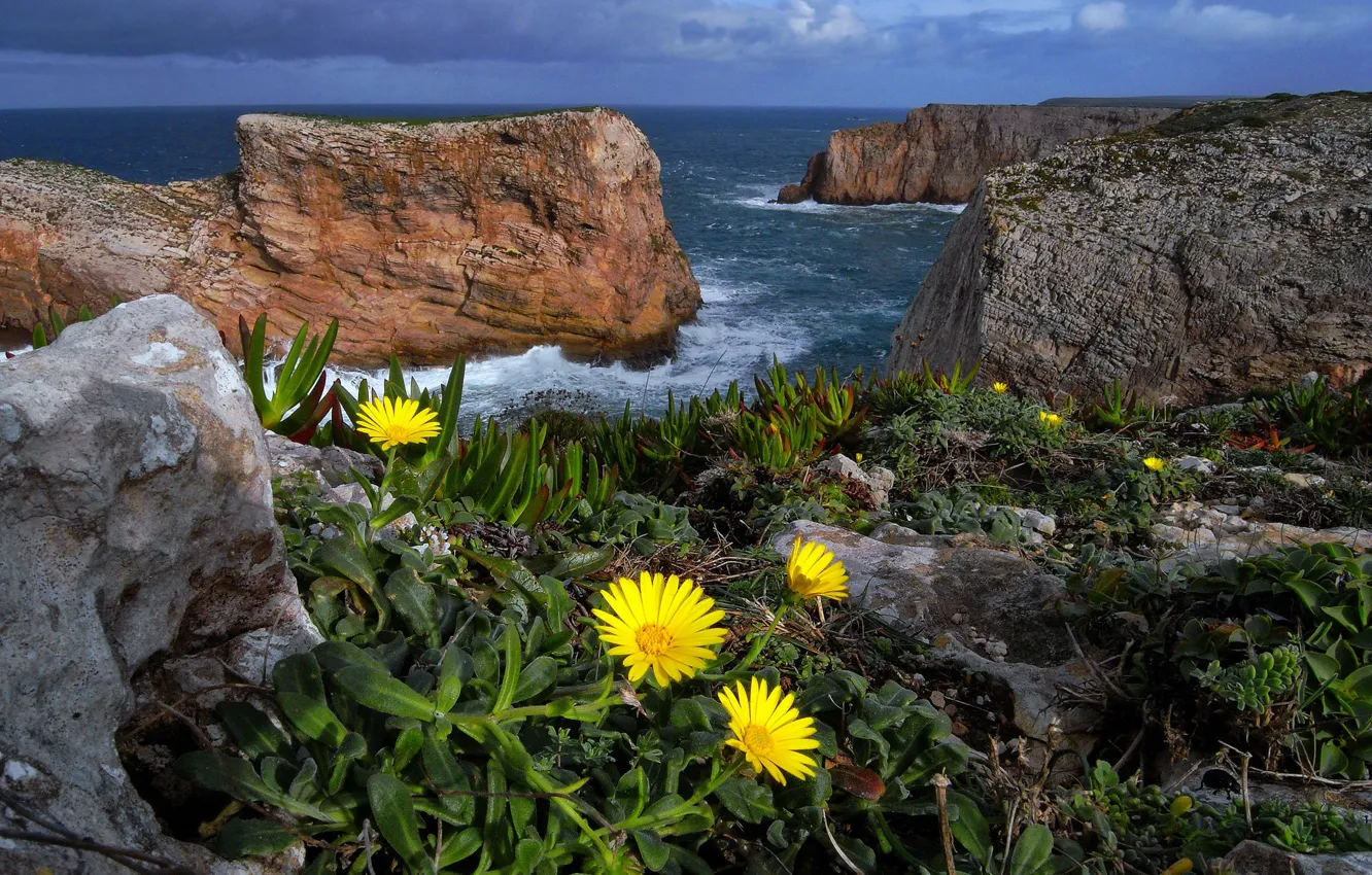 Photo wallpaper sea, flowers, nature, rocks, Portugal