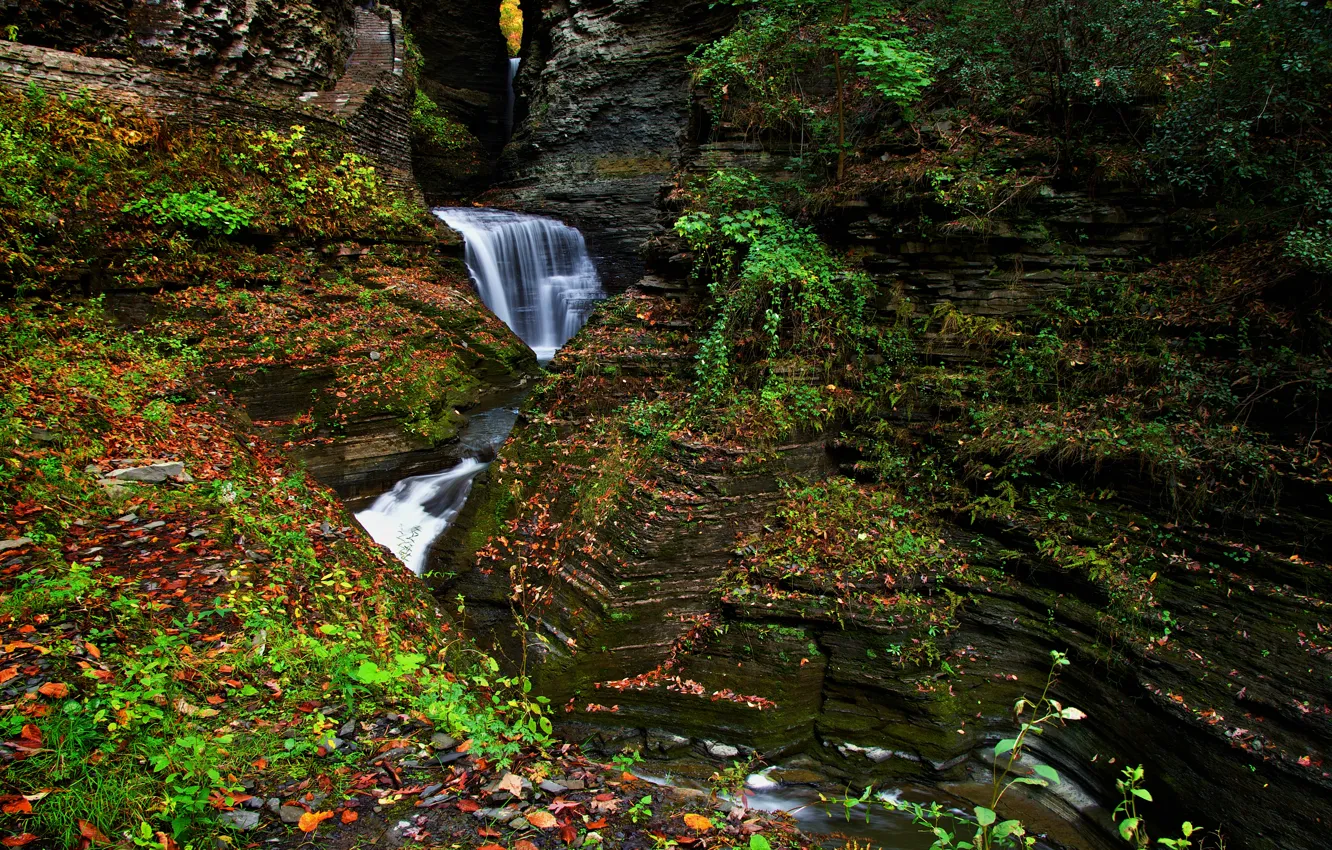 Photo wallpaper forest, river, rocks, waterfall, stream