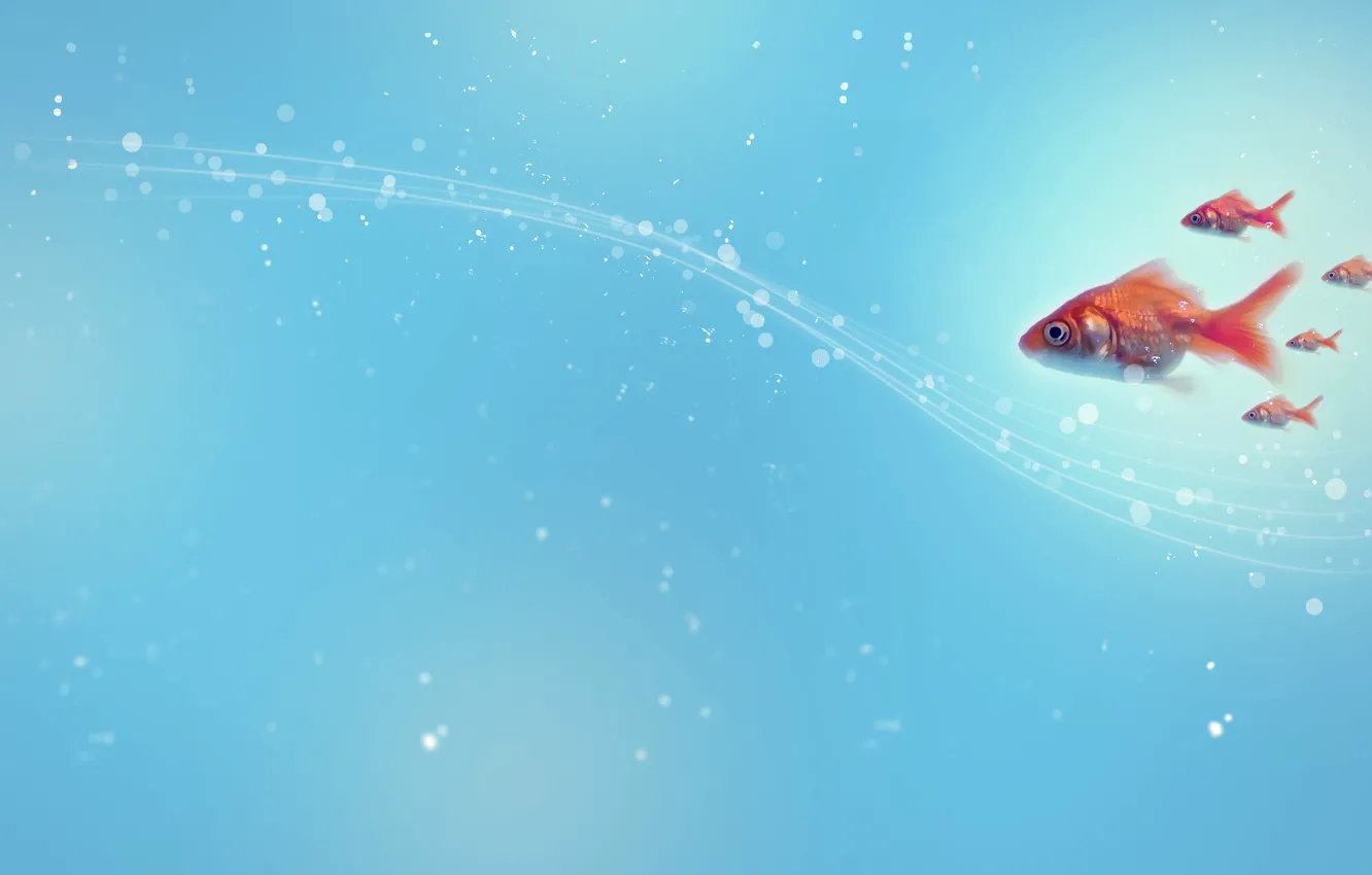 Photo wallpaper line, circles, abstraction, style, pattern, fish, point, style