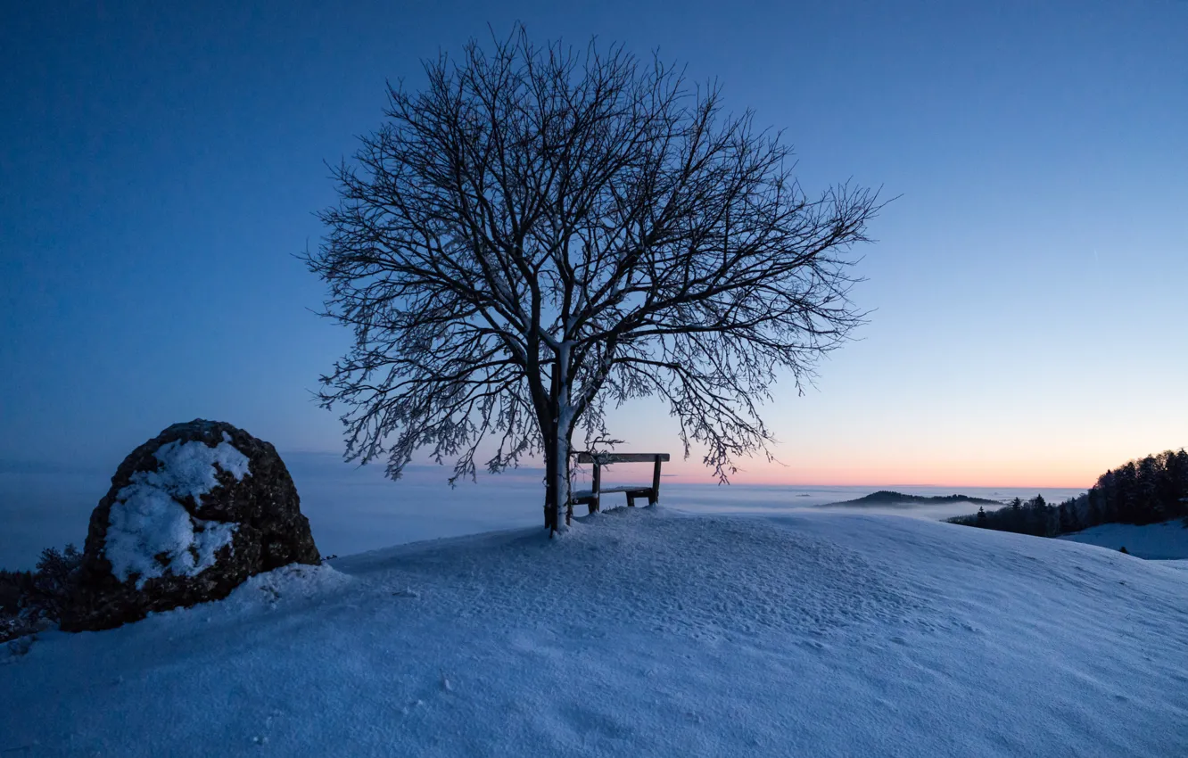 Photo wallpaper winter, snow, trees, bench