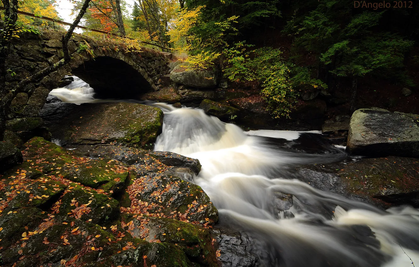 Photo wallpaper autumn, forest, leaves, bridge, river, stones, stream