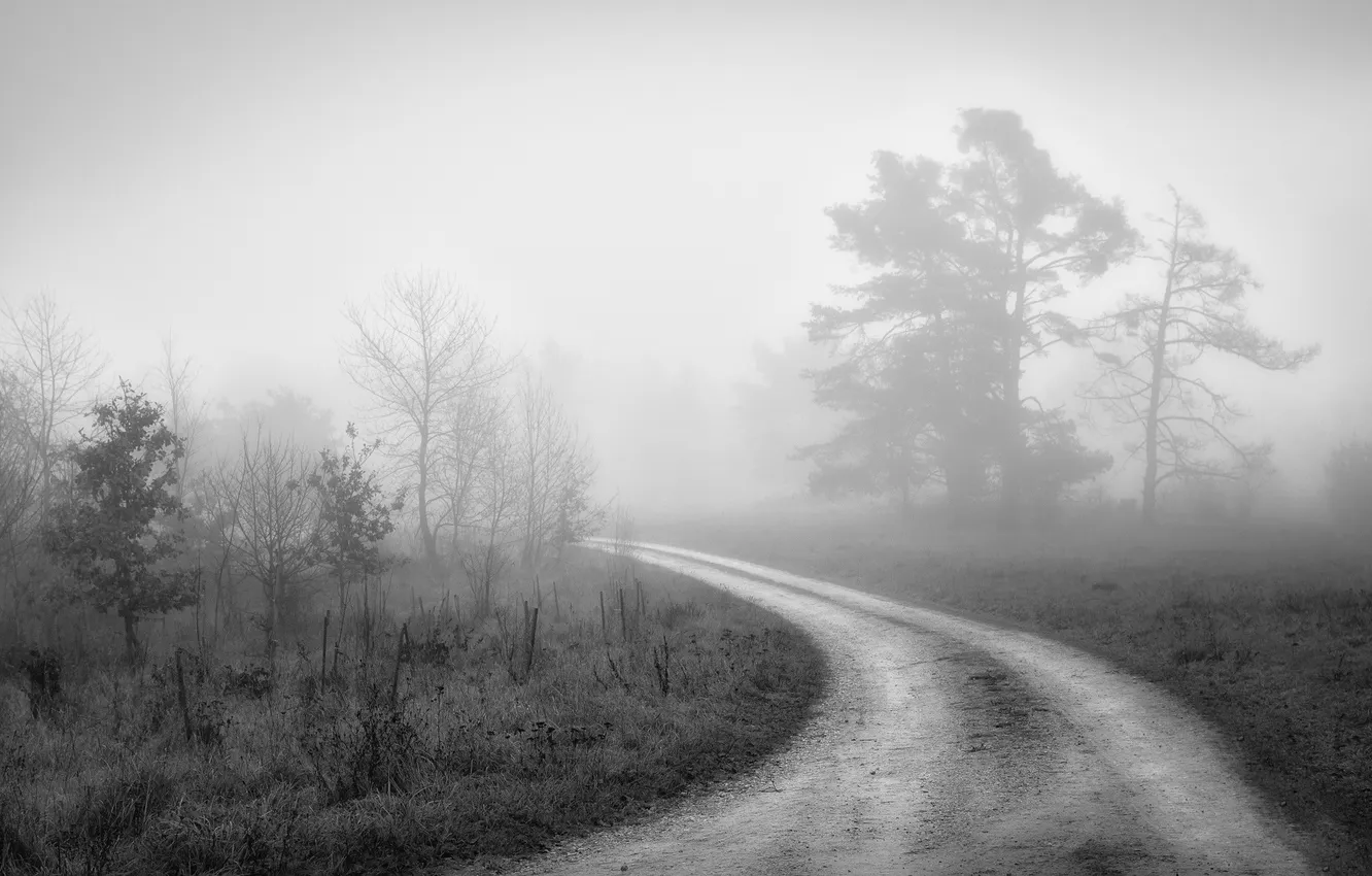 Photo wallpaper road, nature, fog