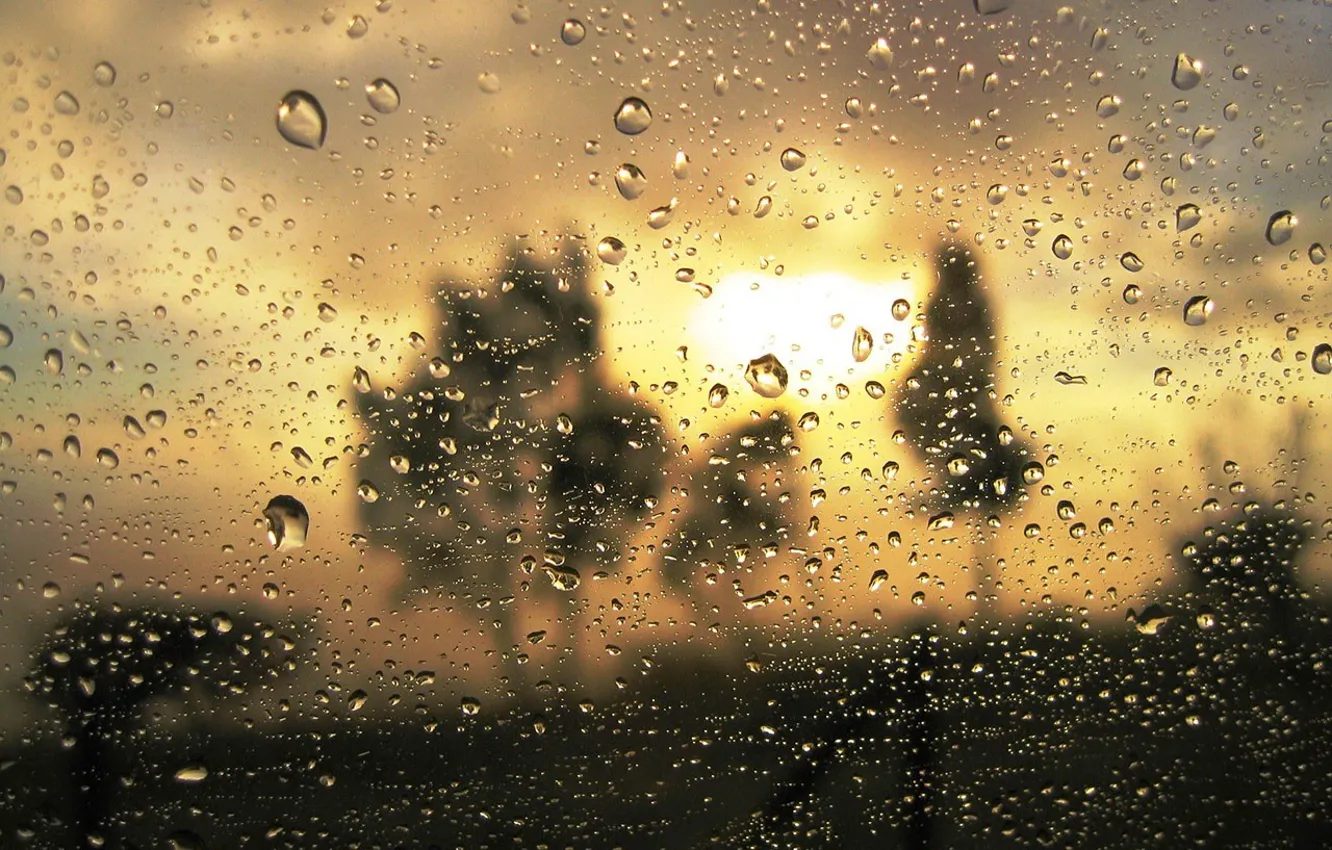 Photo wallpaper glass, drops, gold, turbidity, the proximity, rain