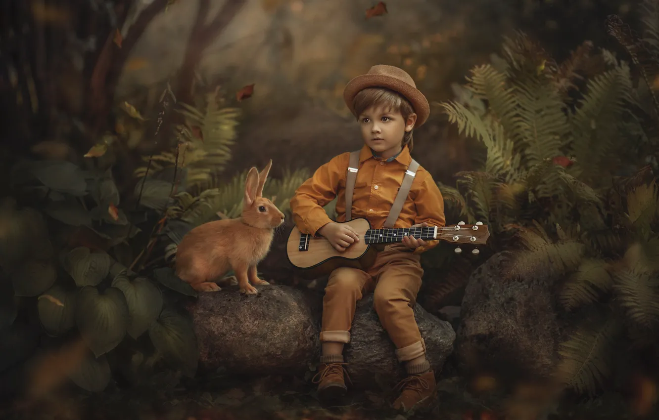 Photo wallpaper forest, nature, stones, animal, vegetation, guitar, boy, rabbit