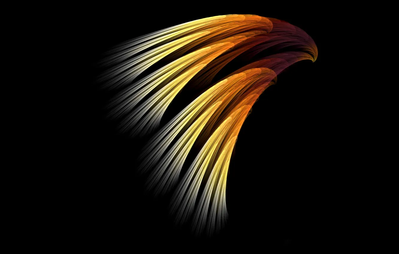 Photo wallpaper rays, light, bird, color, wings, feathers