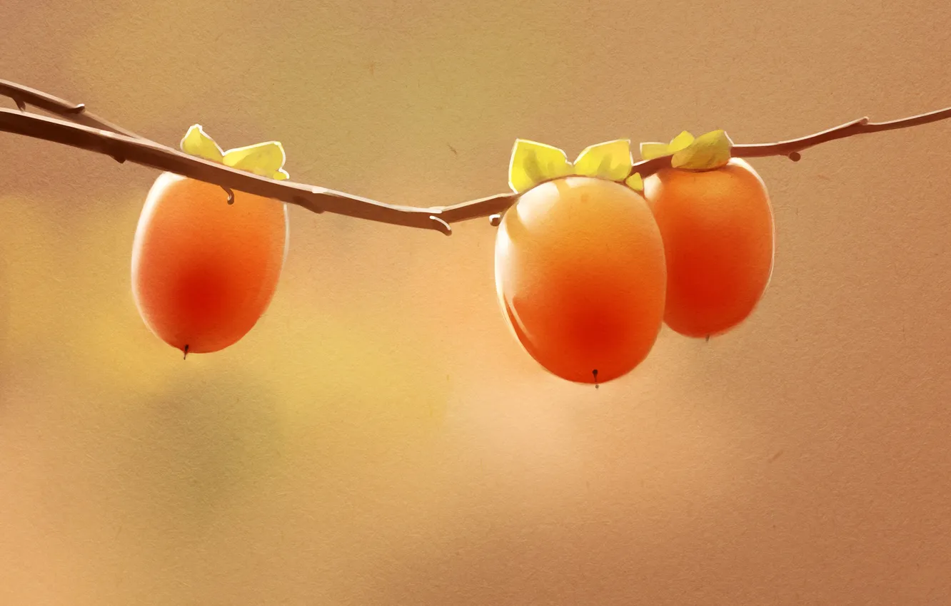 Photo wallpaper branches, berries, art, fruit, persimmon, persimmon