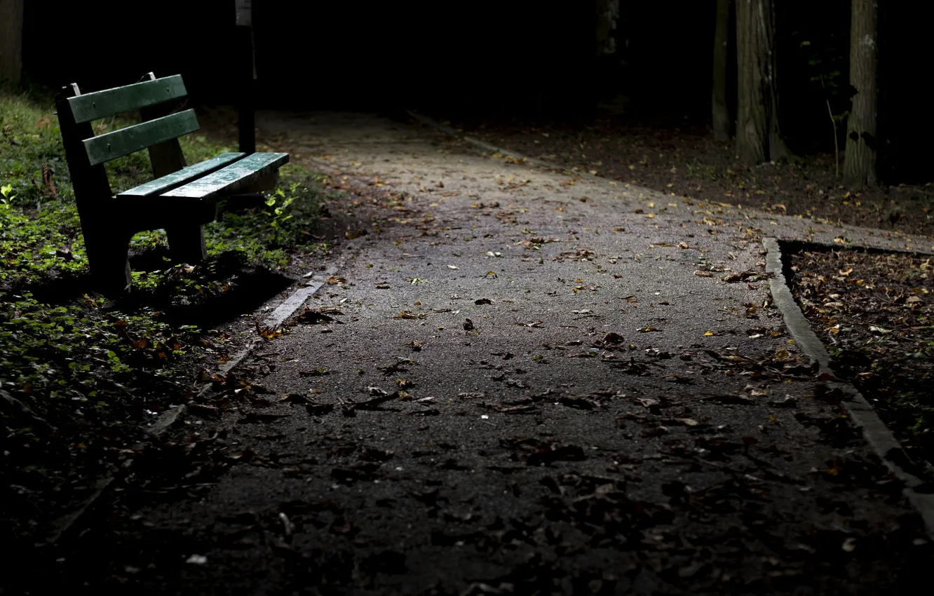 Photo wallpaper night, Park, bench
