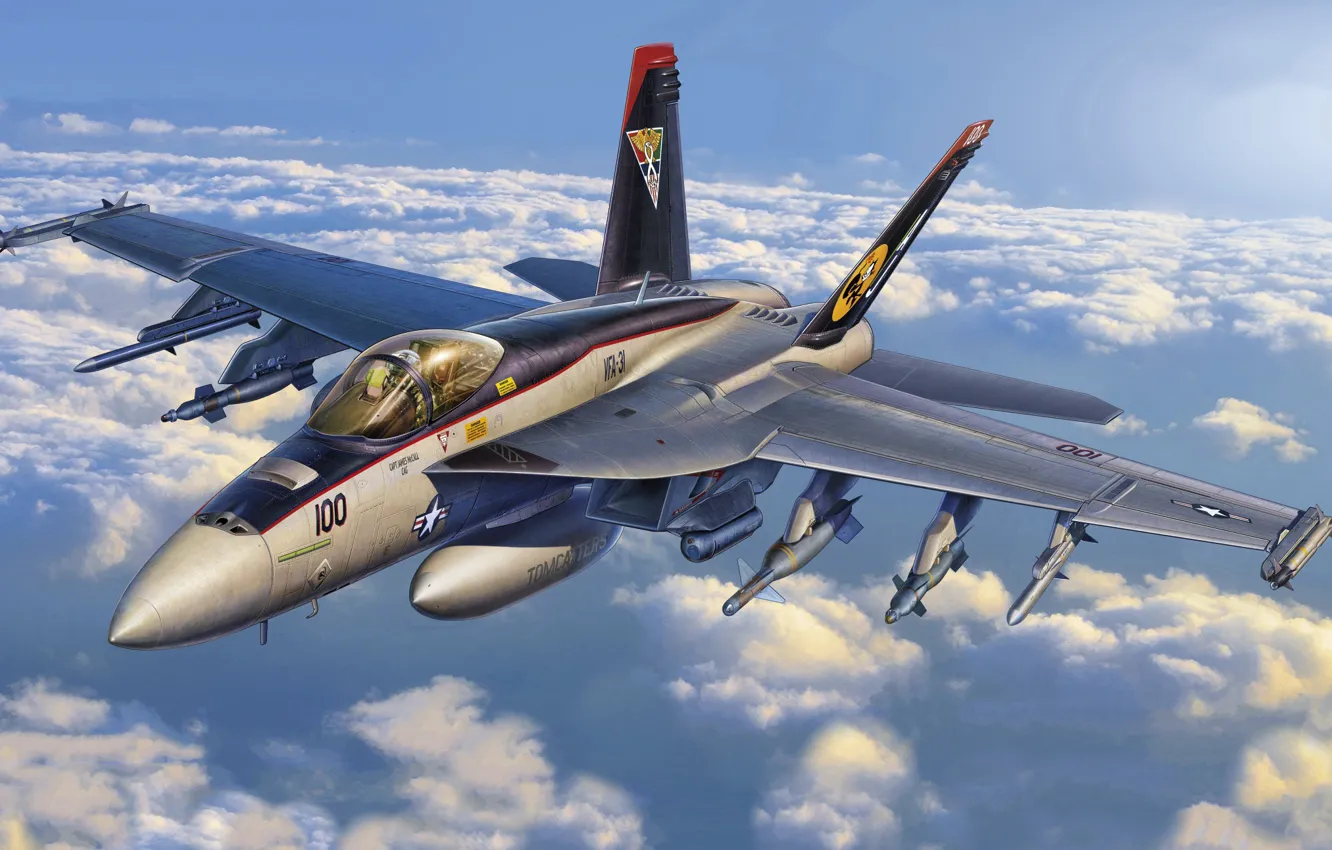 Photo wallpaper combat aircraft, F/A-18E Super Hornet, USA, US NAVY
