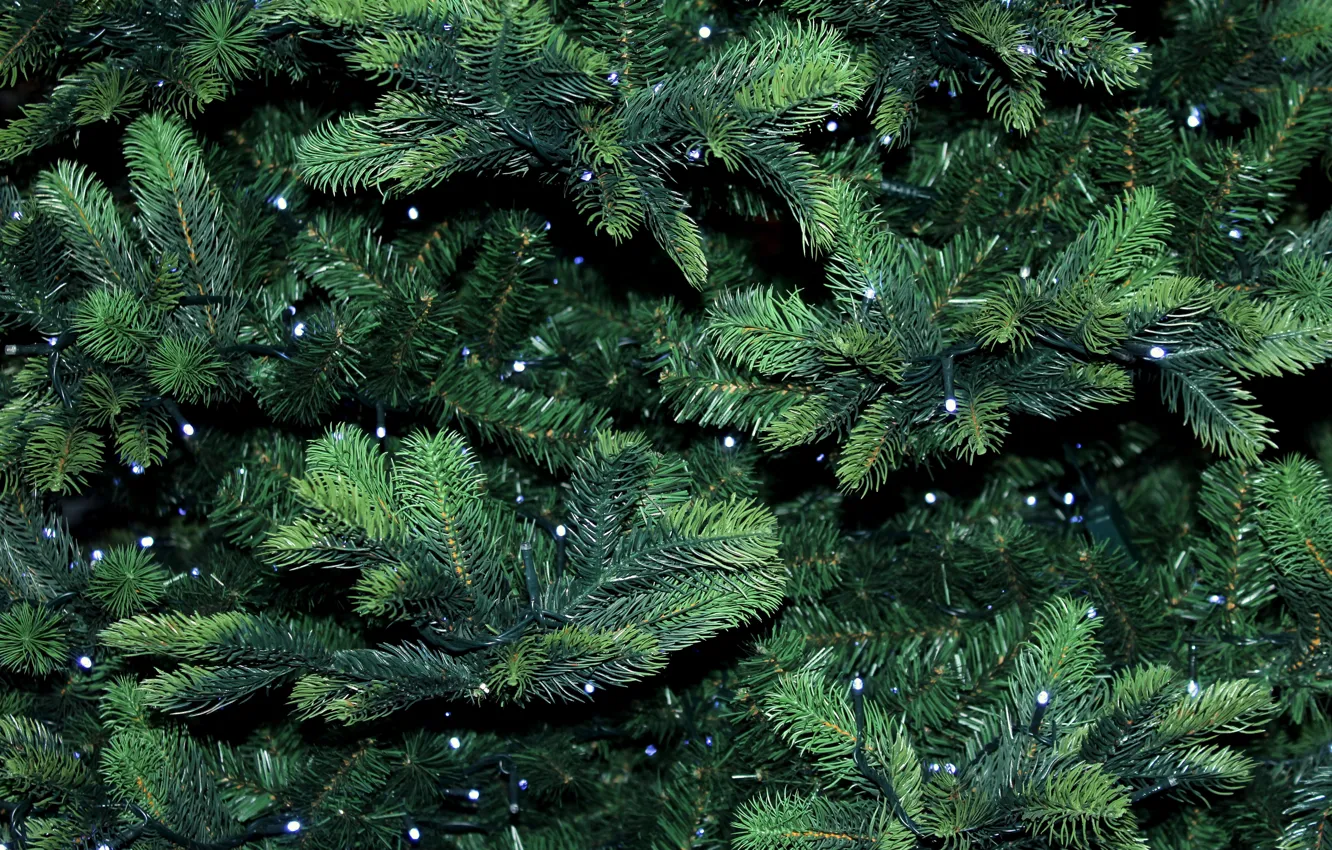 Photo wallpaper background, garland, Christmas tree