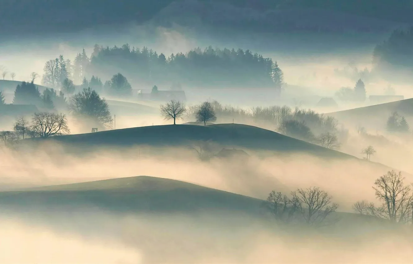 Photo wallpaper trees, landscape, fog, hills