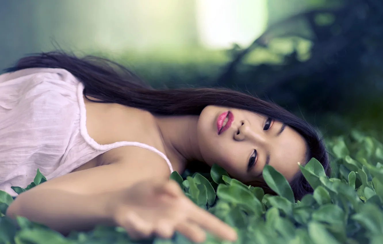Photo wallpaper greens, girl, brunette, Asian, lying on the grass, Lisa Ma