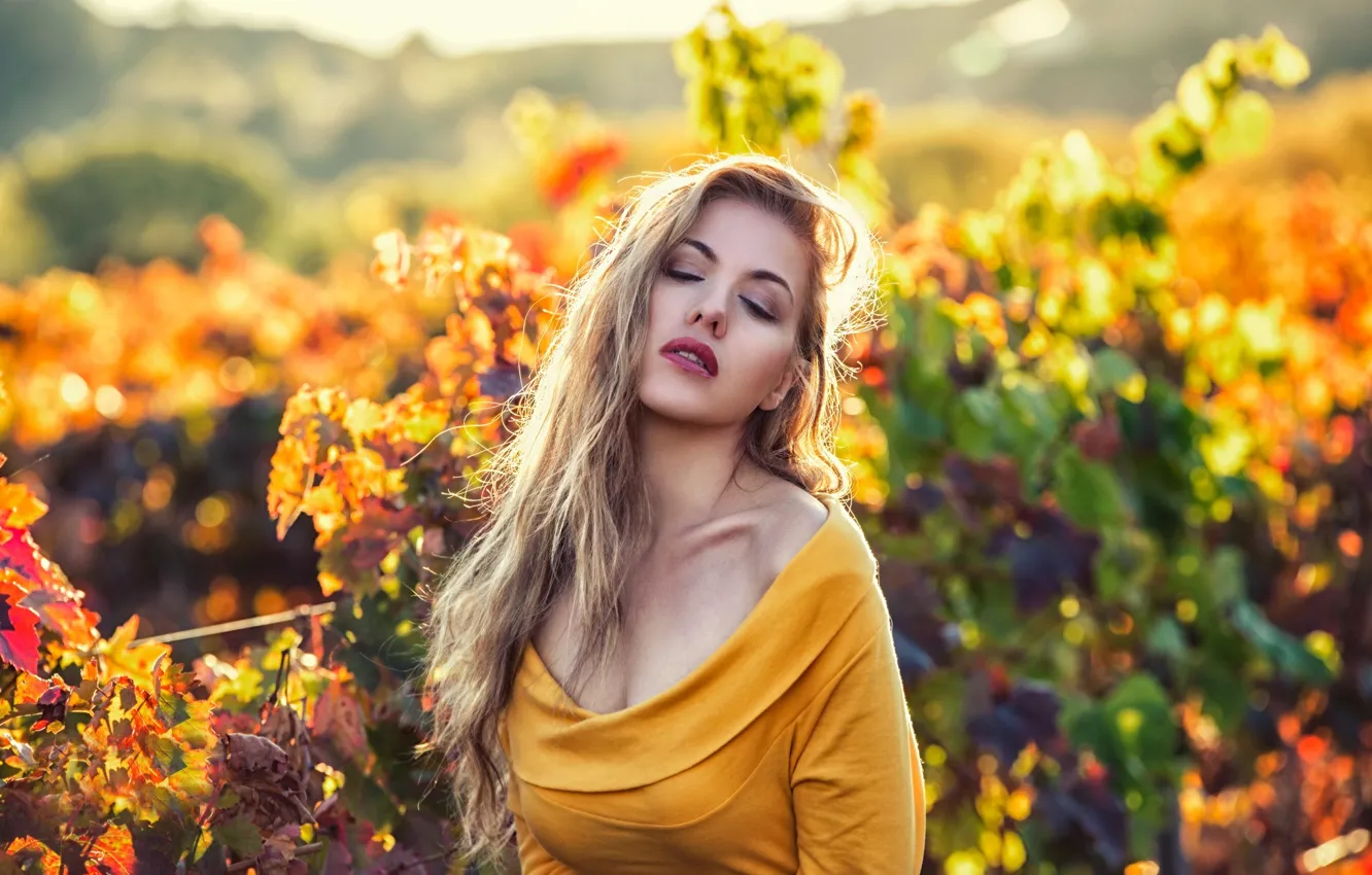 Photo wallpaper autumn, girl, branches, nature, model, makeup, dress, blonde