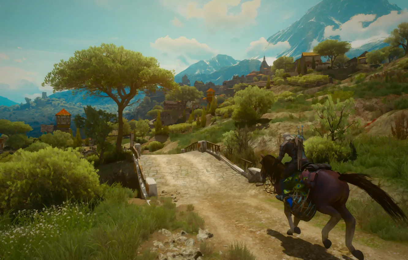 Photo wallpaper The Witcher 3 Wild Hunt, The Witcher 3: Wild Hunt, thewitcher 3, witcher wild hunt