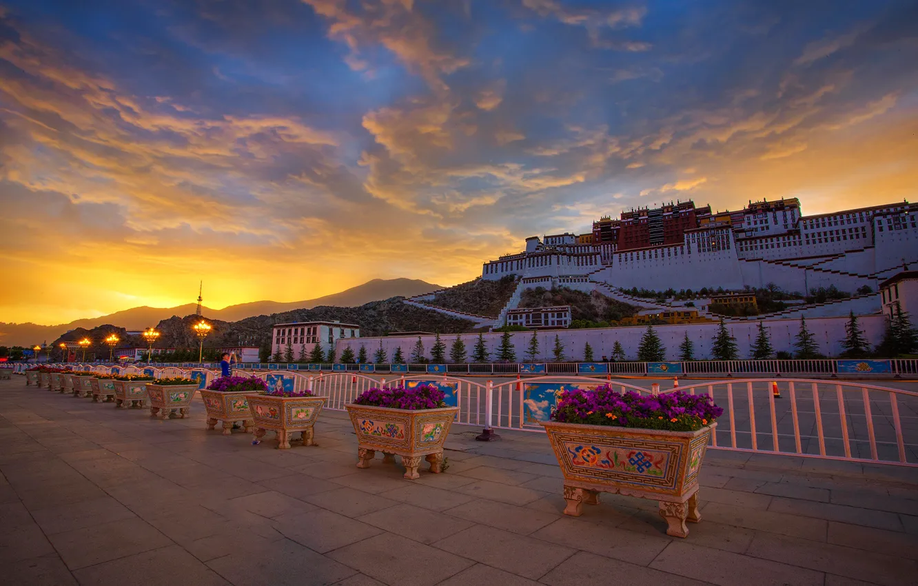 Photo wallpaper flowers, Tibet, Palace