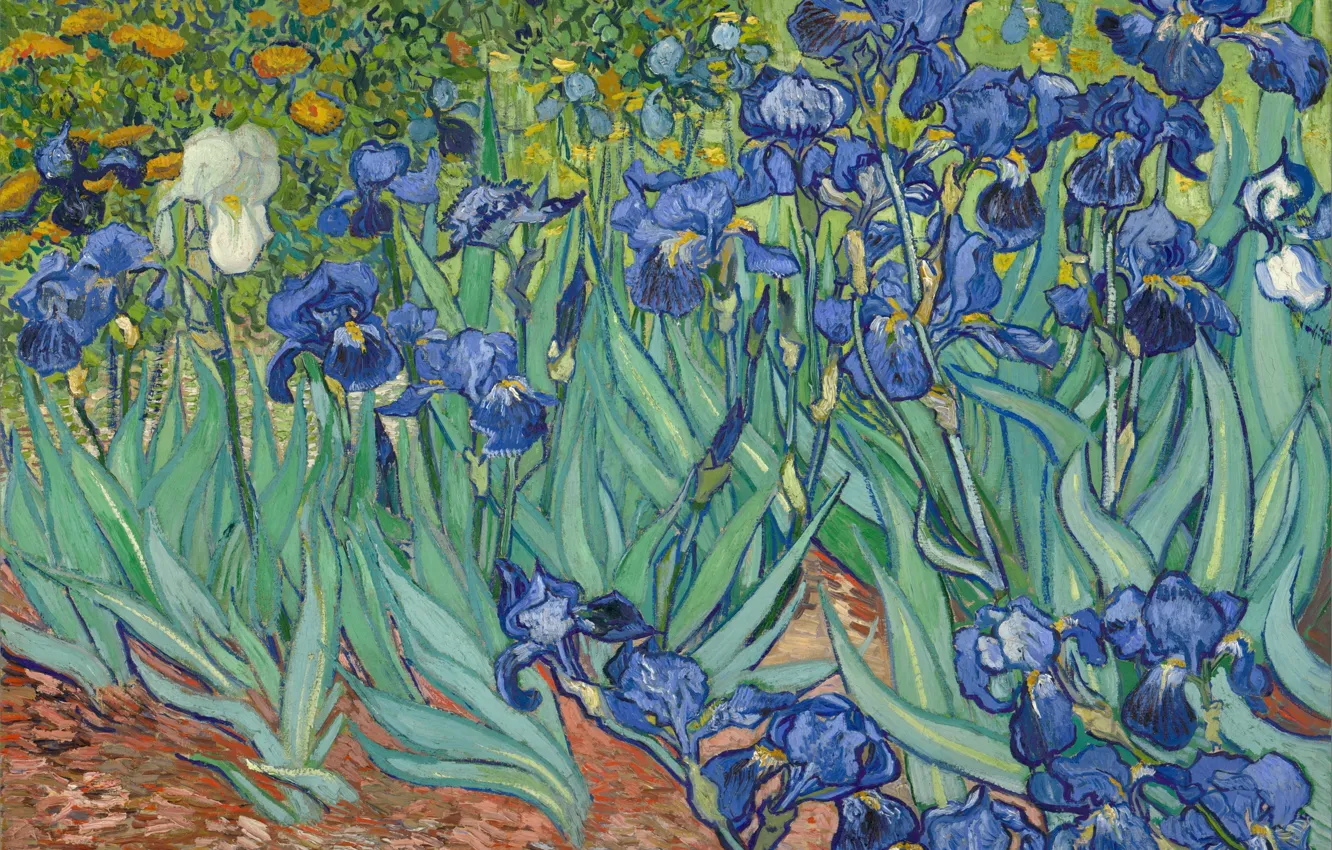 Photo wallpaper flowers, painting, art, irises, blue, art, Van Gogh, paintings