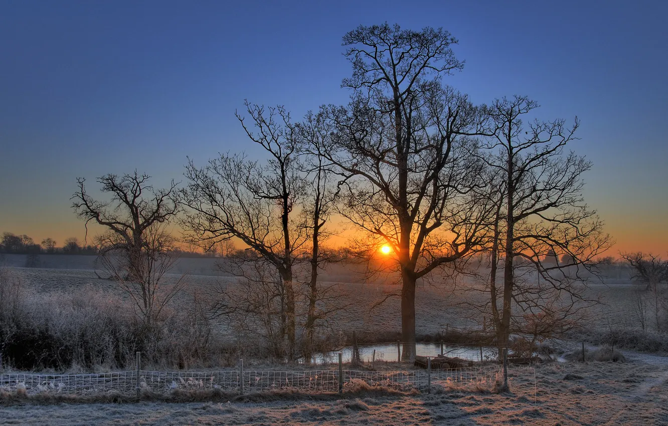Photo wallpaper frost, trees, sunset, pond, the fence, the evening